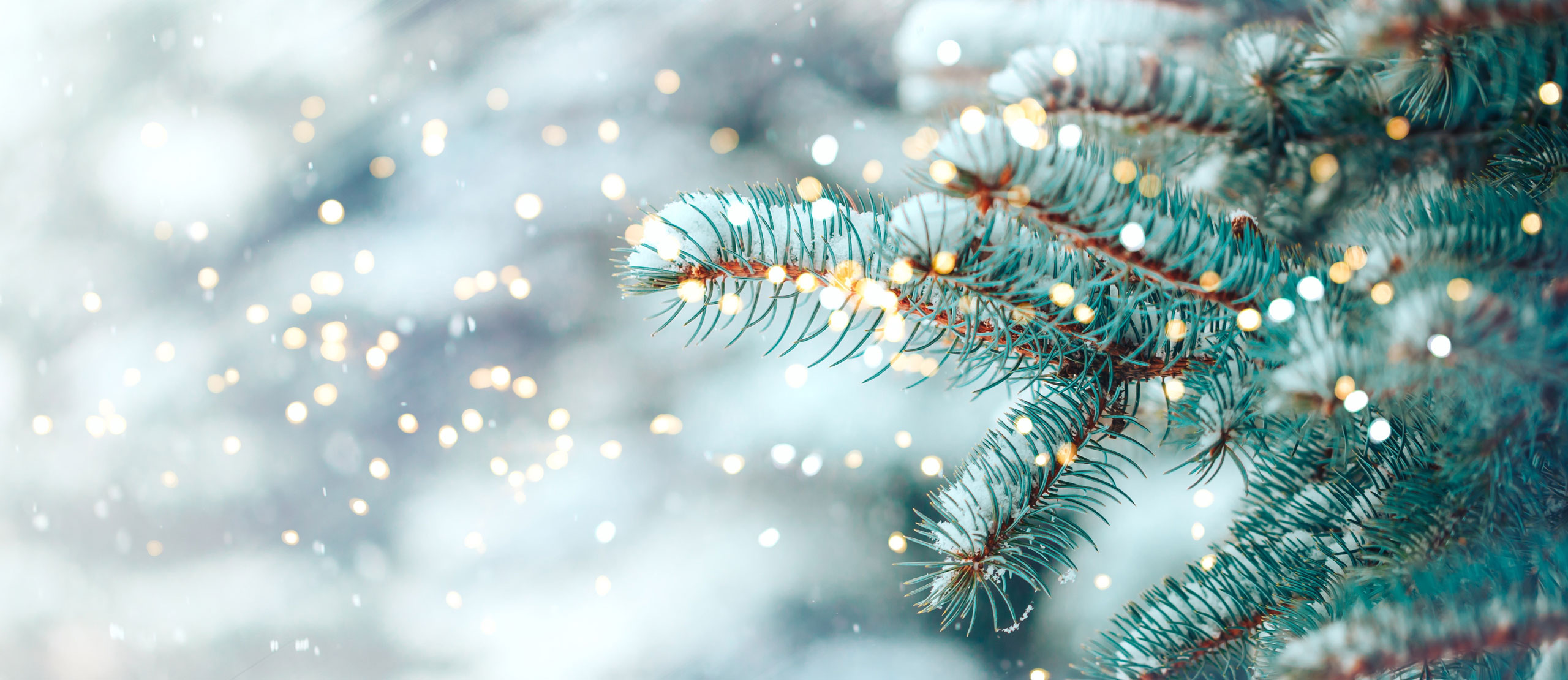 73s wünscht frohe Weihnachten